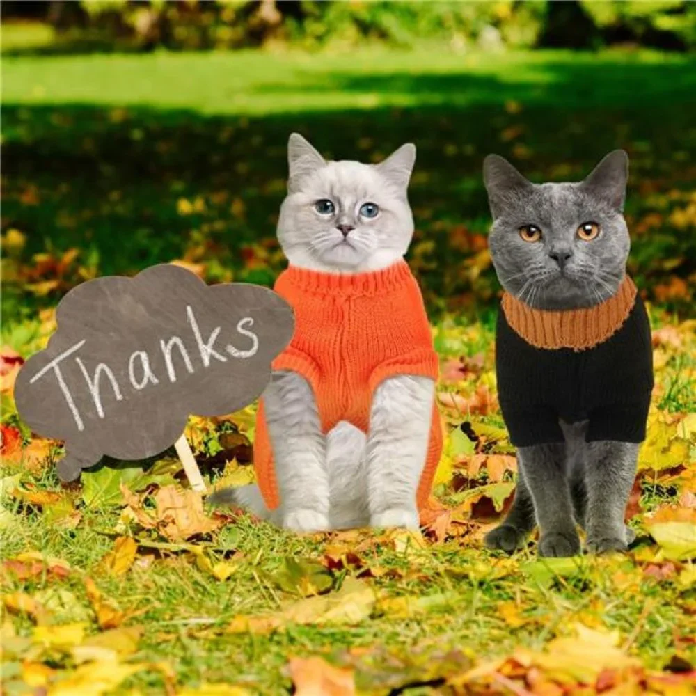 2 Packs Knitted Cat Sweater Thanksgiving Turkey Sweater for Kitten & Cats